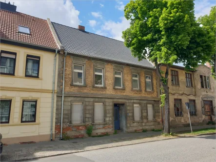 Außenansicht - Haus kaufen in Güsten - Fertigzustellendes Ausbauprojekt: Großzügiges Wohnhaus für Familie, 2 Generationen oder Vermietung