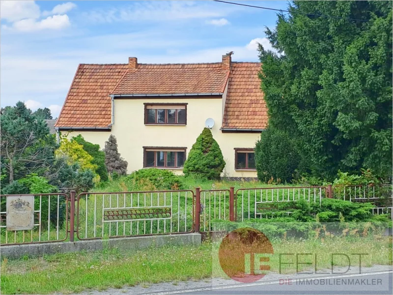 Außenansicht - Haus kaufen in Bad Liebenwerda - Handwerker-Objekt: Teilsaniertes Einfamilienhaus mit Stallanbau, Garage und Sauna