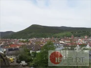 Blick über Neustadt a. d. Weinstraße