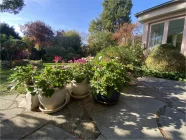 Terrasse (Blick in Garten)