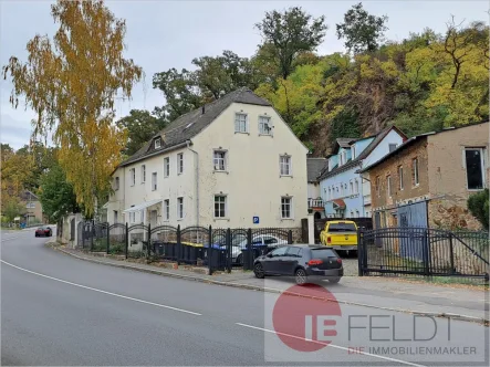 Außenansicht - Haus kaufen in Grimma - Entwickler aufgepasst: Voll vermietetes Mehrfamilienhaus und 3 entkernte Einheiten nahe Leipzig