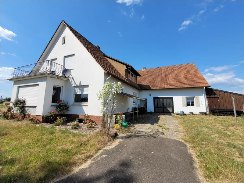 Zufahrt - Haus kaufen in Stemwede - Viel Platz und viel zu tun! Großes Einfamilienhaus auf riesen Grundstück mit Laden und Werkstatt!