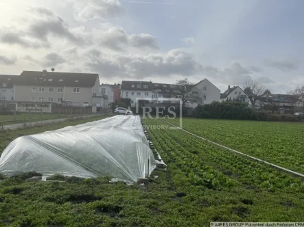 Objektansicht_Flst139_140 - Grundstück kaufen in Frankfurt - Landwirtschaftsflächen in Frankfurt-Oberrad