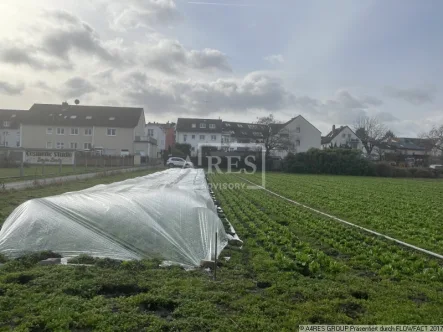 Objektansicht_Flst139_140 - Grundstück kaufen in Frankfurt - Landwirtschaftsflächen in Frankfurt-Oberrad