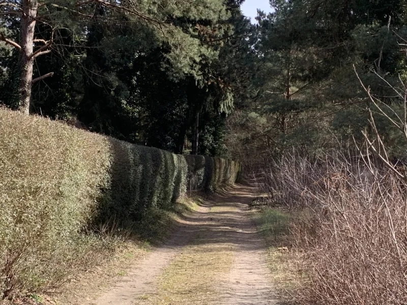 Anliegerweg alte Waldstraße