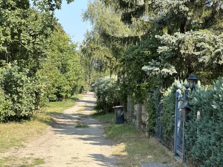 Vor dem Grundstück - Grundstück kaufen in Berlin / Biesdorf-Süd - Bauplatz mit Abriss- Häuschen- Herausforderung in bester  Biesdorer Lage