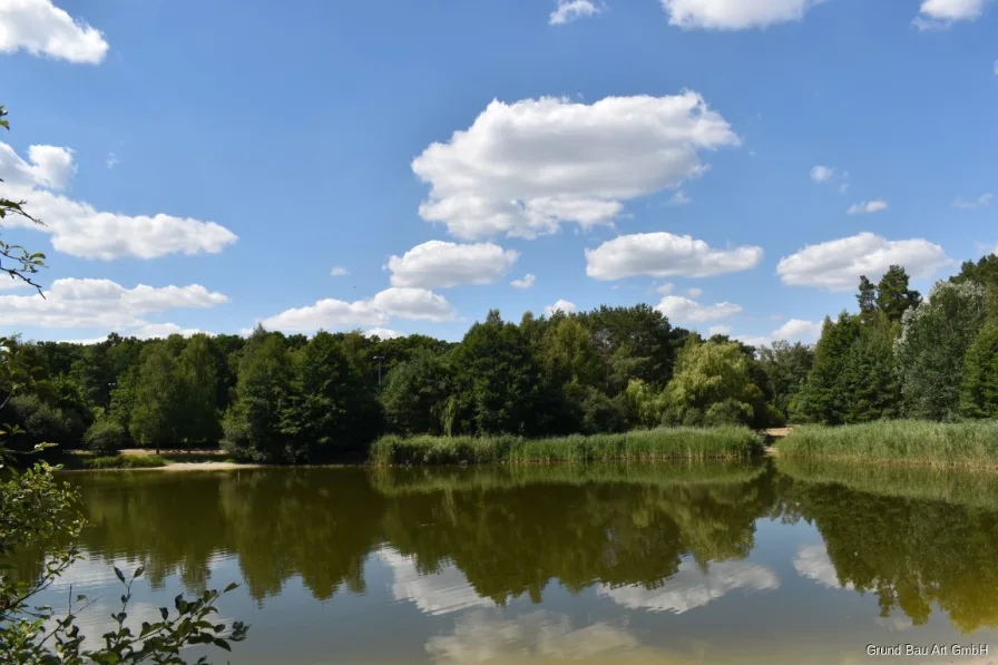 Badesee im angrenzenden Wald