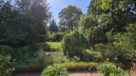 Blick in den Parkgarten - Haus kaufen in Berlin - Haus mit großem, idyllischen Parkgarten nahe Mexikoplatz