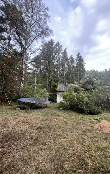 Garten-Grundstück - Grundstück kaufen in Beelitz / Fichtenwalde - Absolute ruhige Lage am Wald - 30 Minuten nach Berlin