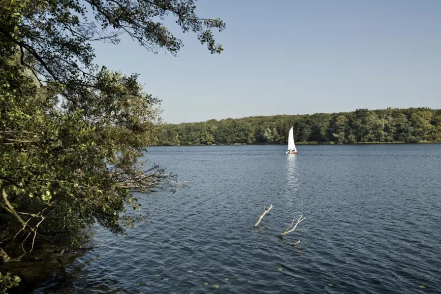 Blick auf den Jungfernsee