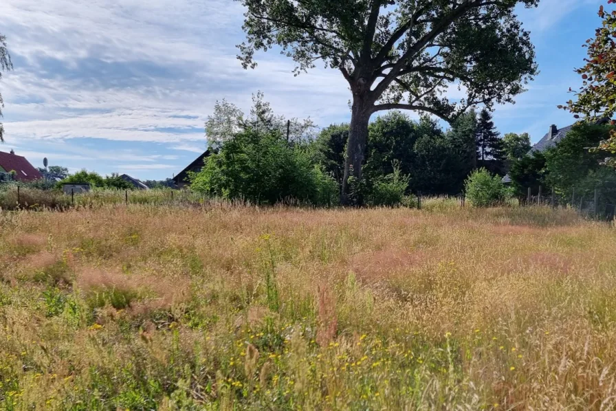 Garten Hinterland