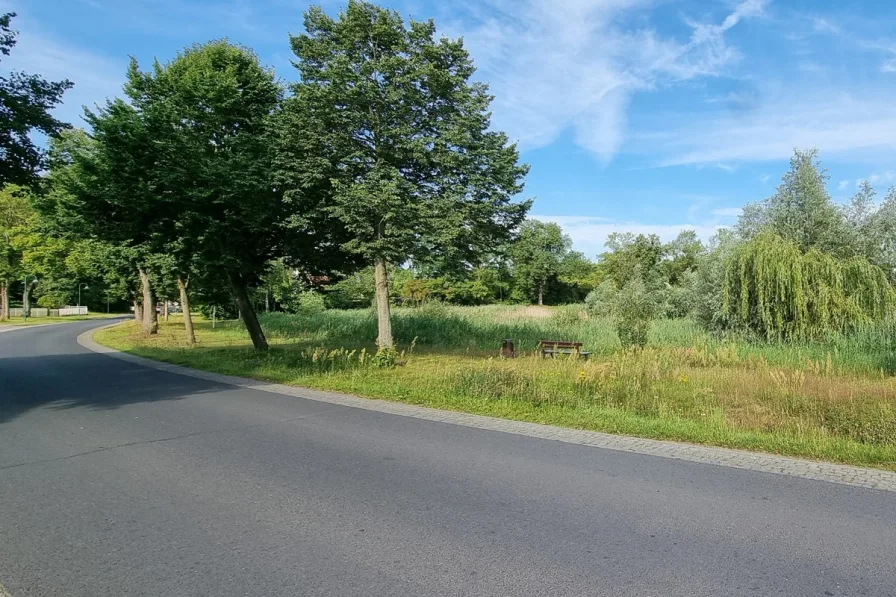 Straße vor dem Haus - Grundstück kaufen in Börnicke / Bernau - Börnicke bei Bernau; großzügiges Baugrundstück mit Altbestand im schönen Dorfkern, Provisionsfrei!