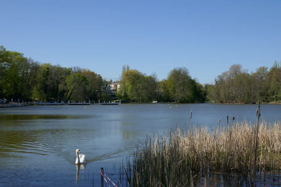 Halensee