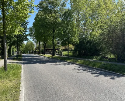 Blick in die traße und zum Grundstück (rechte Seite) - Grundstück kaufen in Werder - Hanggrundstück in idyllischer Lage, zwischen der Havel und dem Großen Plessower See