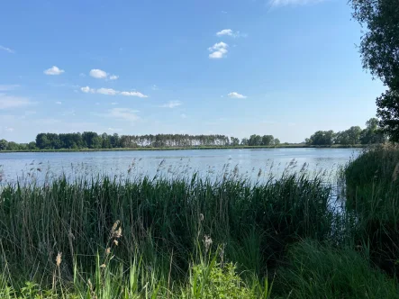 Dreetzer See - Grundstück kaufen in Dreetz - Schönes, quadratisches Baugrundstück nahe Dreetzer See