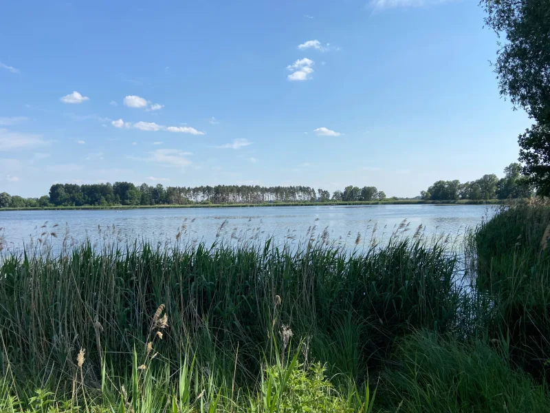 Dreetzer See