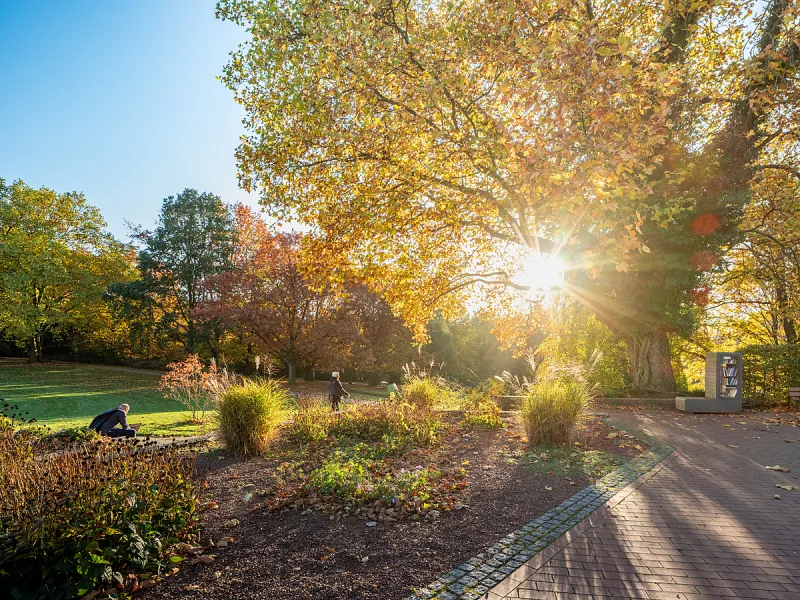 Botanischer Garten Grugapark