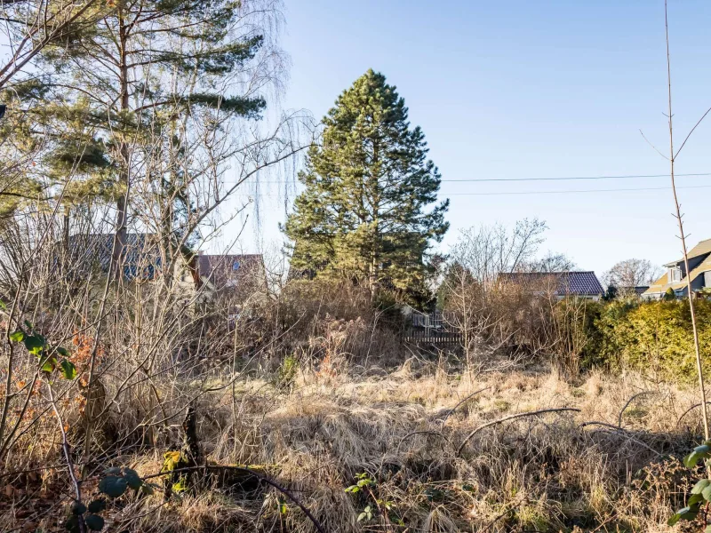 Grundstück - Grundstück kaufen in Berlin - Lichtenberg: Wohnbaugrundstück deutlich unter Bodenrichtwert, bis zu ca. 620 m² BGF direkt am Park