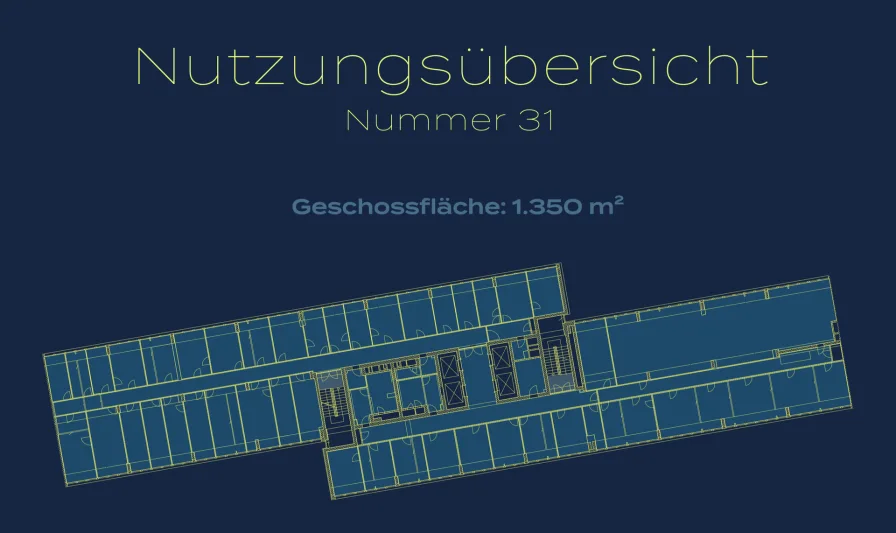 Grundriss und Nutzungsübersicht Nummer 31