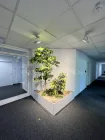 Green Office