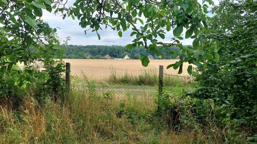 Garten, Erholungsfläche