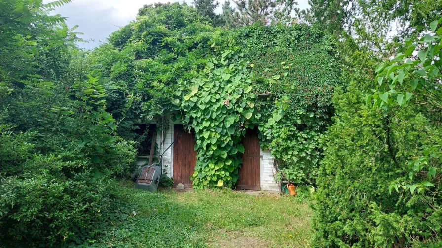 Garten I Nebengelaß