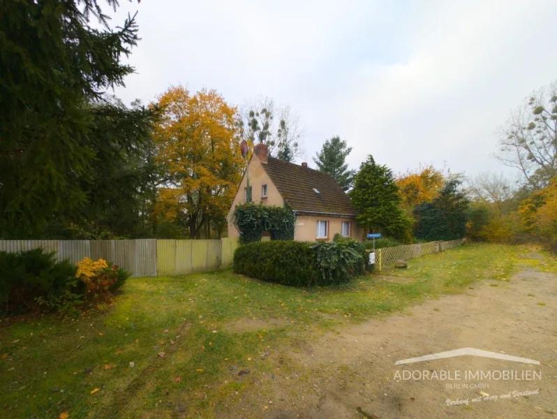 Hausansicht - Haus kaufen in Stechlin - Handwerkerperle: Einfamilienhaus mit viel Potenzial in Stechlin zu verkaufen.