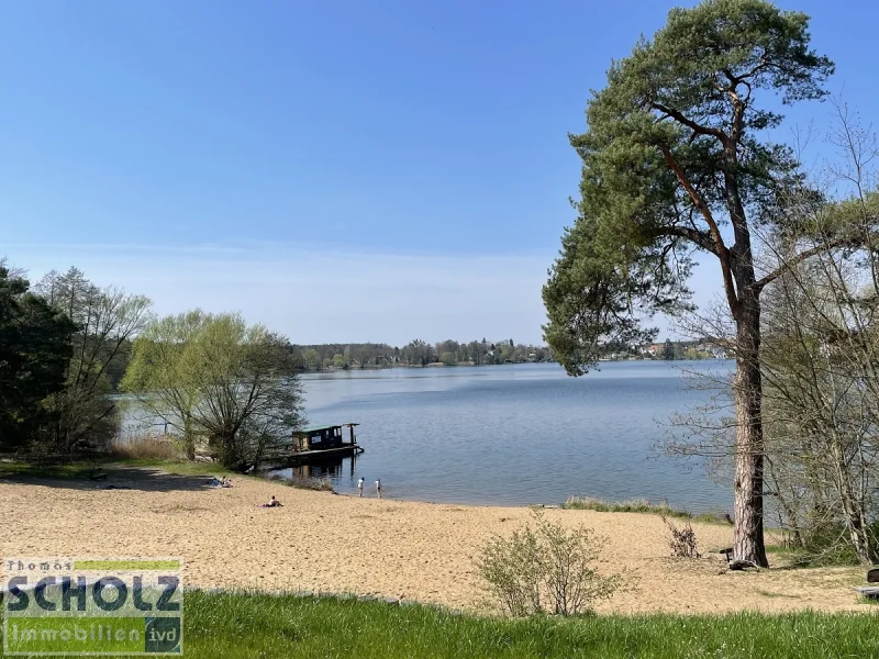 Peetzsee - Haus kaufen in Grünheide (Mark) - Große DHH in Grünheide - 5 Zi. - 150m² - frisch renoviert