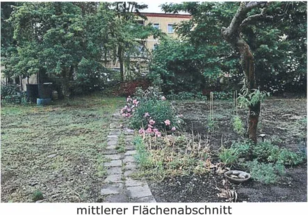 Blick aufs Grundstück-1 - Grundstück kaufen in Letschin - ZENTRALE BAULÜCKE IN LETSCHINER ZENTRUMSLAGE...