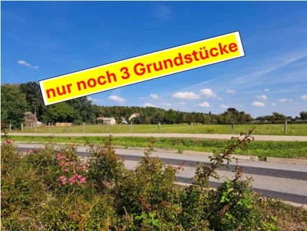 Titelfoto - Grundstück kaufen in Gründheide OT Kagel - BAUTRÄGERFREIE GRUNDSTÜCKE IN GRÜNHEIDE - OT. KAGEL