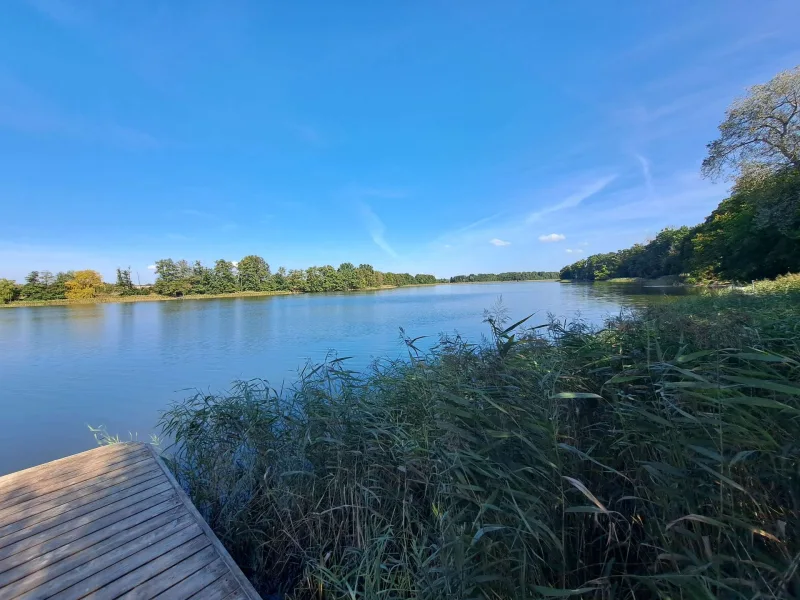 Bauernsee - Grundstück kaufen in Grünheide - Grosses Baugrundstück mit Grünland in Kagel - DH möglich