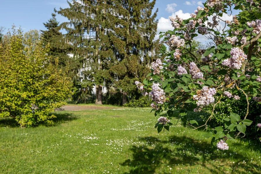 Gemeinschaftseigentum