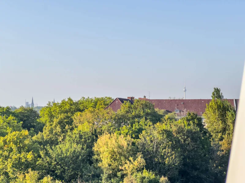 Weitblick Dachterrasse 1