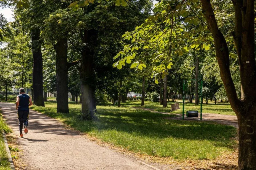 Volkspark Friedrichshain