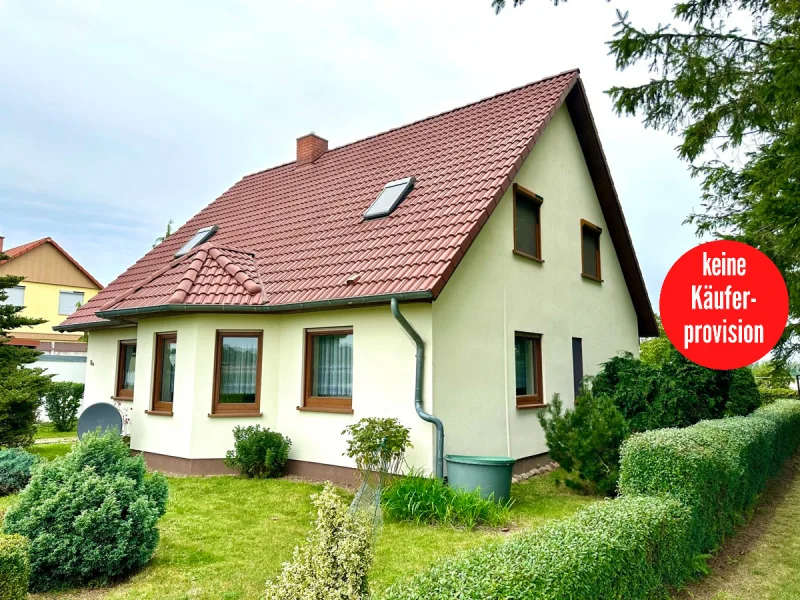 Einfamilienhaus in Züsedom - Haus kaufen in Züsedom - HORN IMMOBILIEN ++ Züsedom bei Pasewalk großes Haus, 5 Zimmer + Kamin und mit großem Grundstück