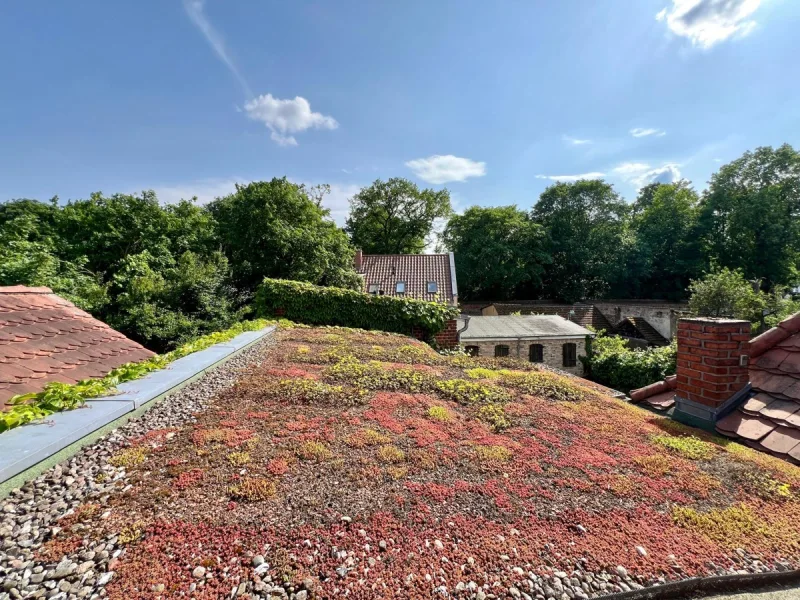 Ausblick auf das Gründach