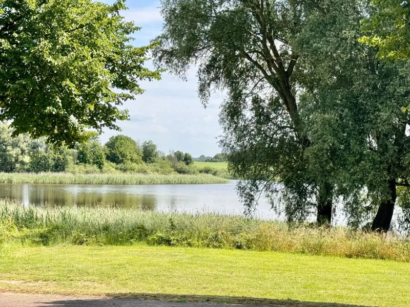 Blick von der Terrasse