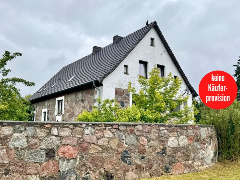 Hausansicht - Haus kaufen in Friedland - HORN IMMOBILIEN ++ großes Haus mit großem Grundstück in Ramelow bei Friedland (Meckl.)