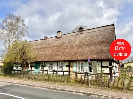 Hausansicht - Haus kaufen in Ahlbeck / Gegensee - Urig rustikal - ein Haus für Handwerker und Liebhaber in 17375 Ahlbeck bei Eggesin