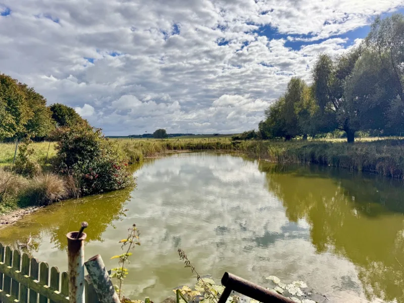 Teich mit Fischbesatz