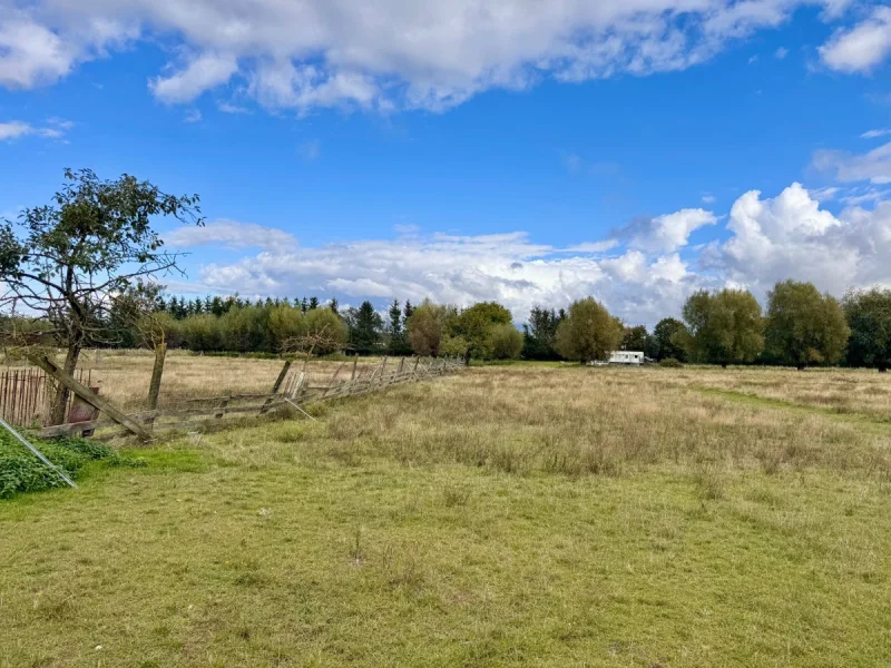 das Grundstück - Grundstück kaufen in Löcknitz - HORN IMMOBILIEN ++ 5,6 ha bei Löcknitz, als Wildtierfarm, zur Pferdehaltung oder für Alpakas