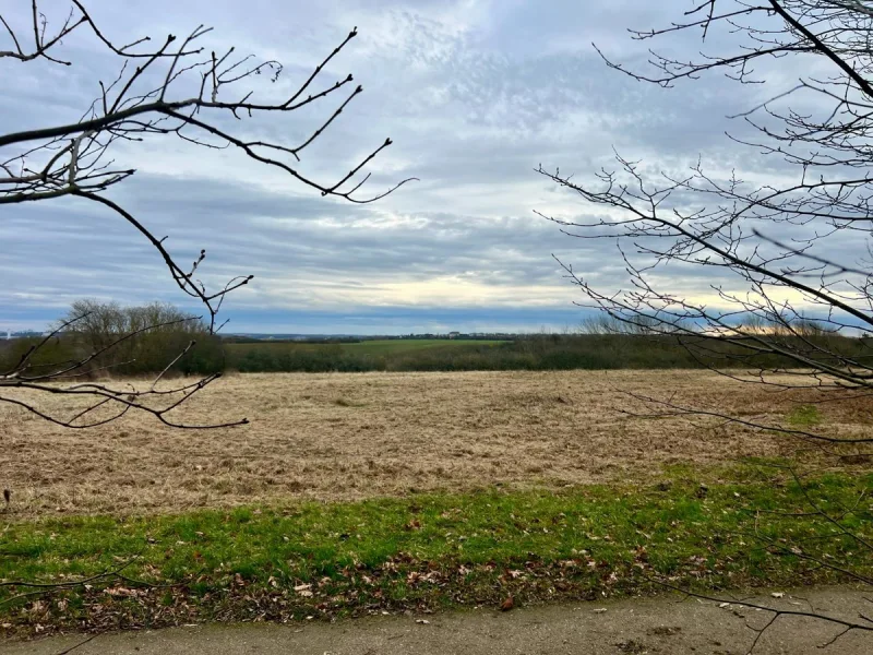 Ausblick Grundstück