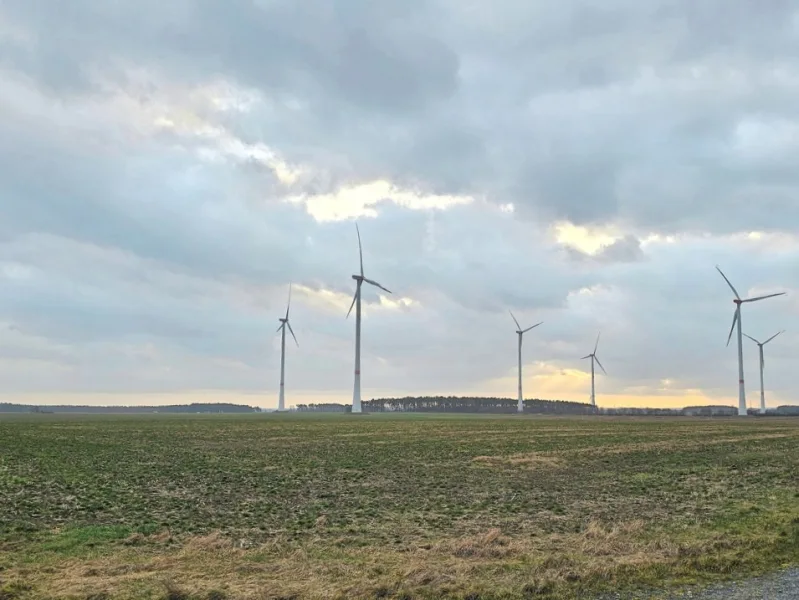 Agrarfläche - Grundstück kaufen in Luckau - Agrarflächen mit rentabler Windenergieanlage