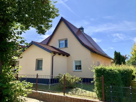 Straßenansicht - Haus kaufen in Lauta - Modernes Einfamilienhaus in idyllischer Umgebung