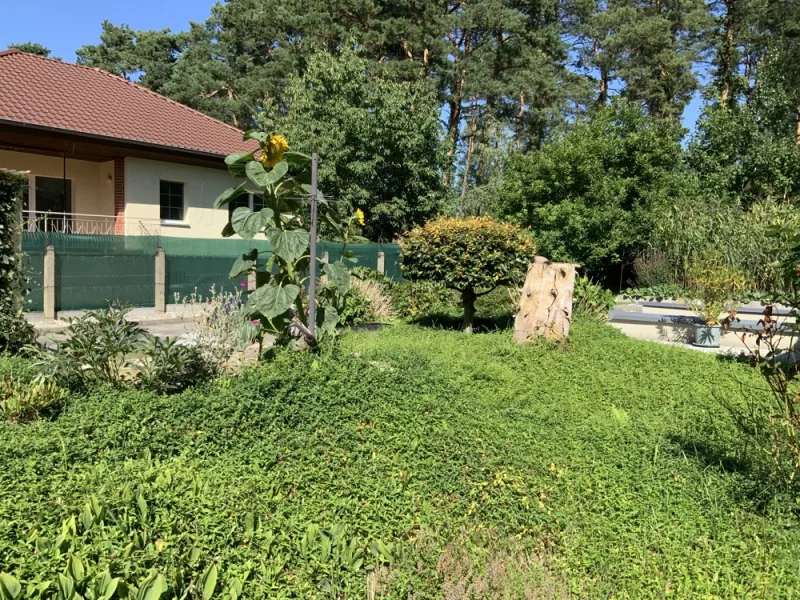 Gartenbereich - Haus kaufen in Heideblick / Walddrehna - Solider Bungalow mit schönem Garten am Wald