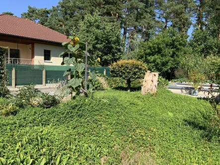 Gartenbereich - Haus kaufen in Heideblick / Walddrehna - Solider Bungalow mit schönem Garten am Wald