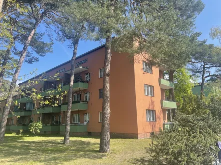 MFH in Zehlendorf - Wohnung kaufen in Berlin - Kapitalanlage in idyllischer Waldsiedlung!
