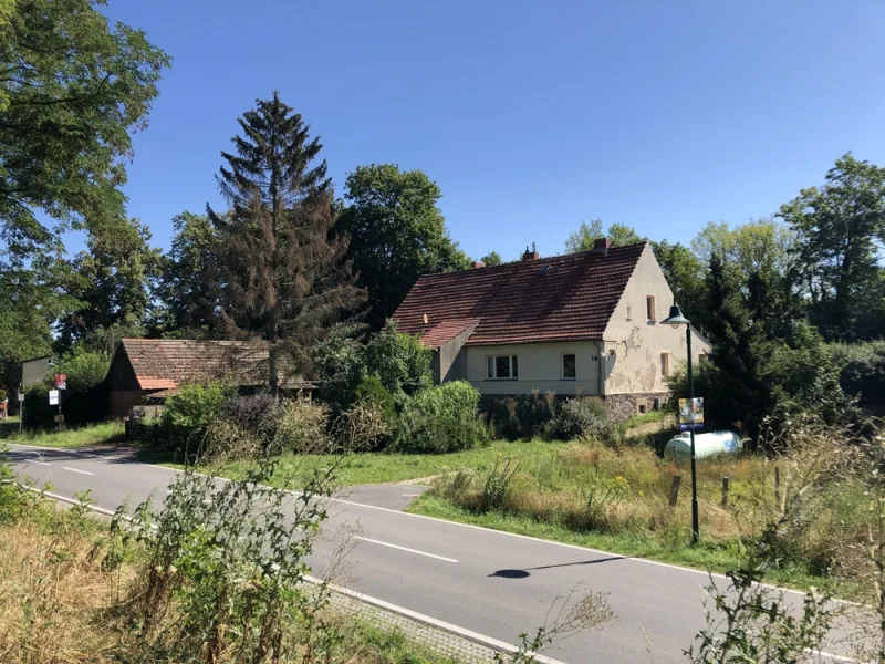 Hausansicht - Haus kaufen in Liebenberg - Wer beendet den Dornröschenschlaf am Schloss