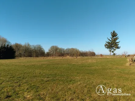 Ansicht auf dem Weg zum Gartenland - Grundstück kaufen in Lüssow - Noch zu teilendes ca. 1.250m² großes Grundstück mit ca. 4.000m² Gartenland in Ostseenähe