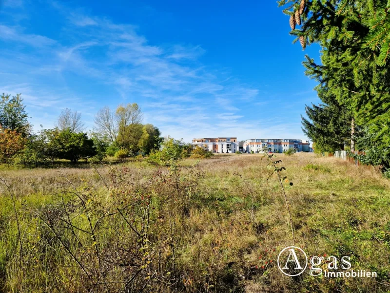 Ansicht 1FlSt. 331/30-31 - Grundstück kaufen in Schorfheide - Großes Wohnungsbau- und Gewerbegrundstück in bester Lage von Finowfurt